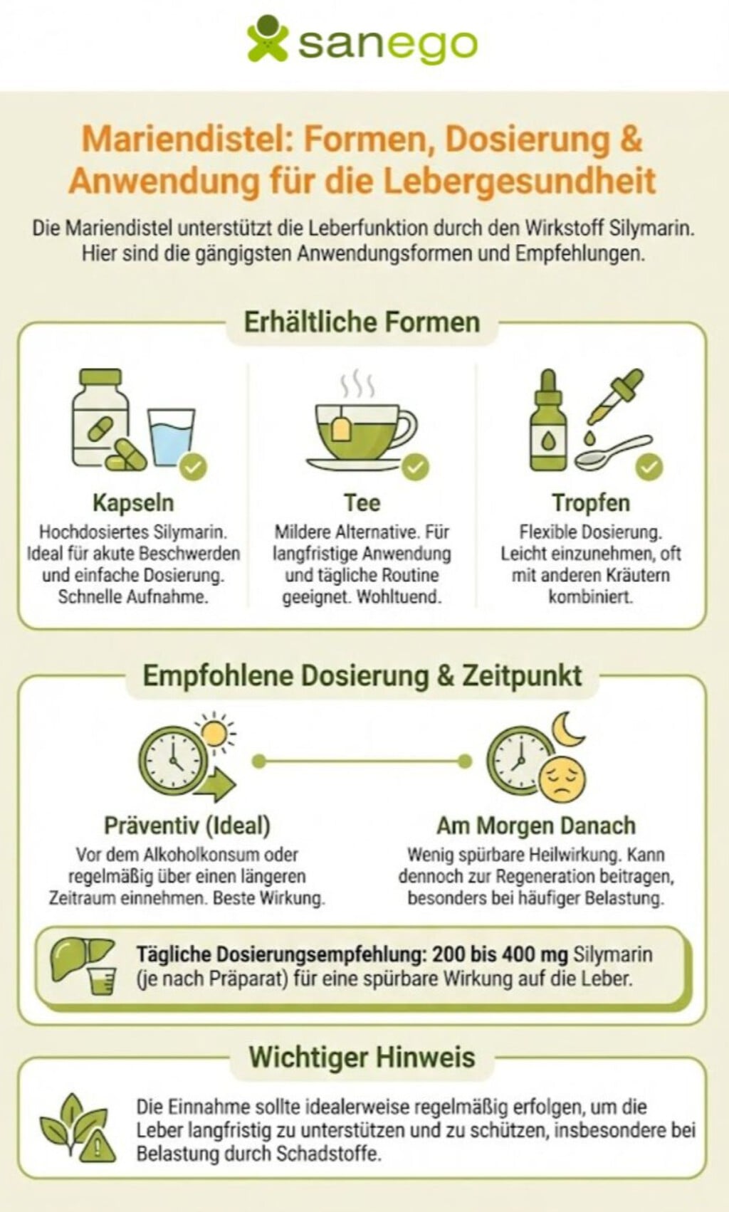Was Sie über Mariendisteln vielleicht noch nicht wissen | | © Erstellt mit Google Gemini Übersicht über Formen, Dosierung & Anwendung für die Lebergesundheit von der Mariendistel
